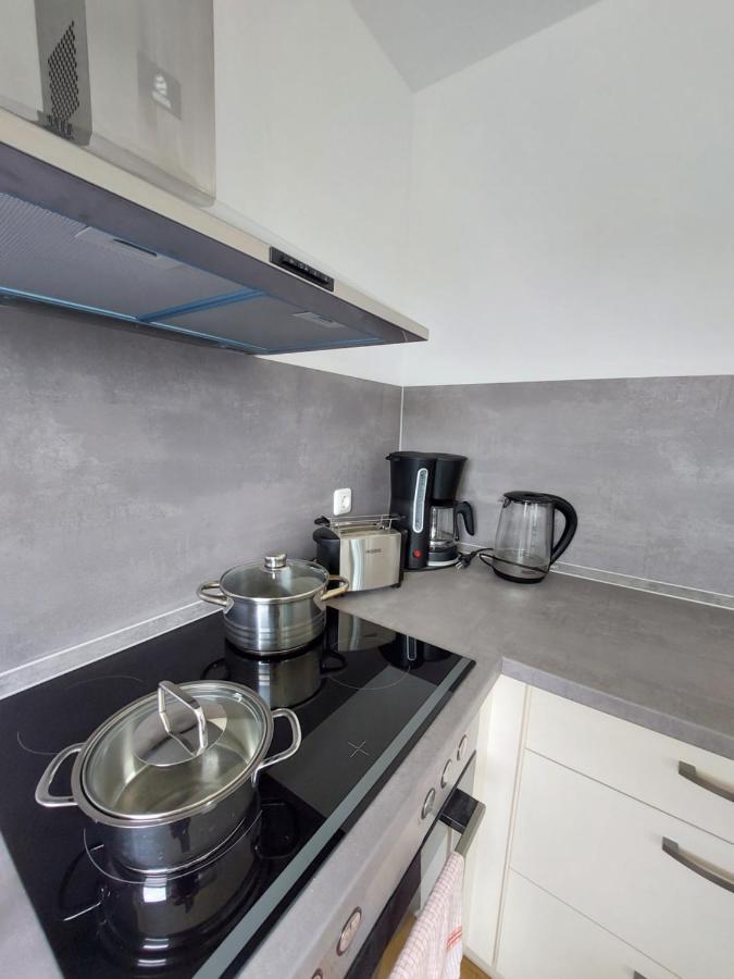 Moderne Wohnung Mit Vollausstattung In Ruhiger Lage, W-Lan Grossrohrsdorf المظهر الخارجي الصورة