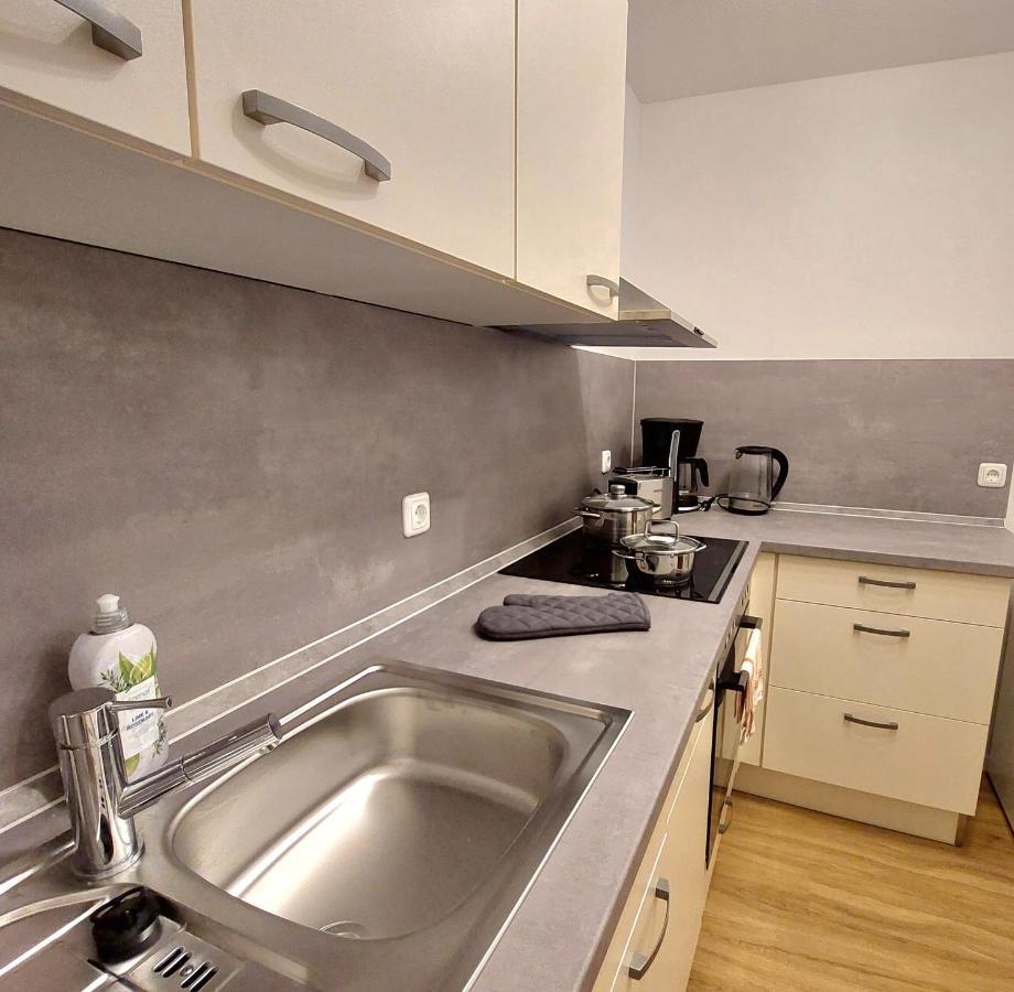 Moderne Wohnung Mit Vollausstattung In Ruhiger Lage, W-Lan Grossrohrsdorf المظهر الخارجي الصورة